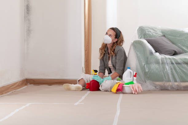Reliable Mold Remediation contractor in Long Branch, NJ by Cheap Mold Removal